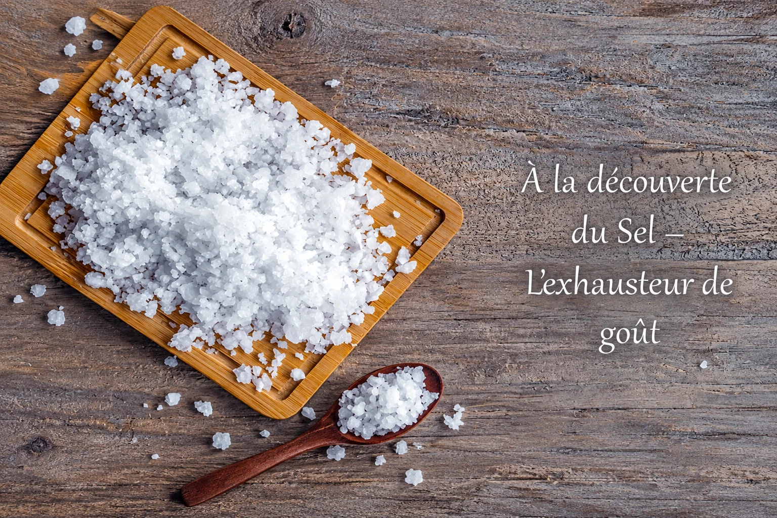A la découverte du Sel – L’exhausteur de goût