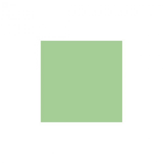 Serviette vert anis en papier tissu 1 pli 39 x 39cm - Lot de 100 - Serviettes - AZ boutique