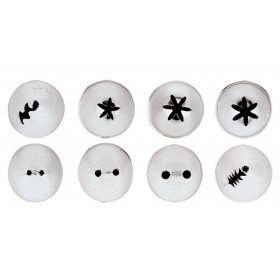 Douille pâtissière - Inox - Lot de 8