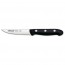 Couteau d'office - lame inox Nitrum 10,5cm - A l'unité - Maître - Arcos