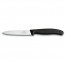 couteau d'office pointu 10cm - swissclassic - victorinox