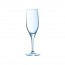 Flûte à champagne 19cl - Lot de 6 - Sensation Exalt - Arcorcoc