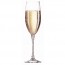 Flûte grand champagne 24cl - Lot de 6 - Cabernet - Chef & Sommelier
