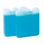 Set de 2 plaques électriques 100g accumulateur de froid 8 x 7,3 x 2,3 cm - Thermos